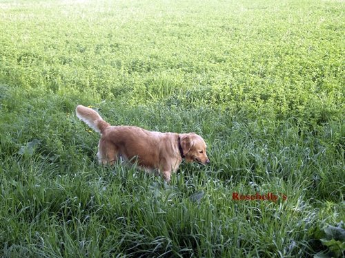 photo12.jpg