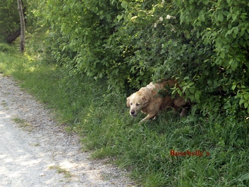 photo14.jpg