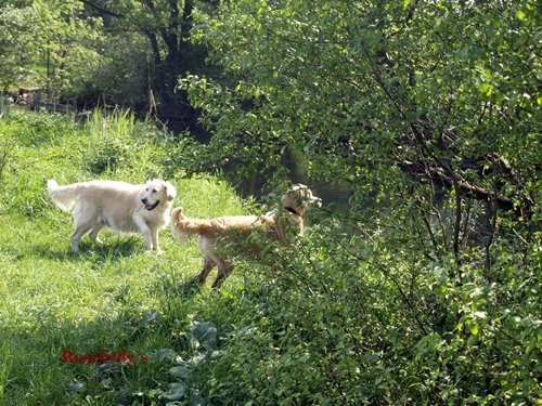 photo25.jpg