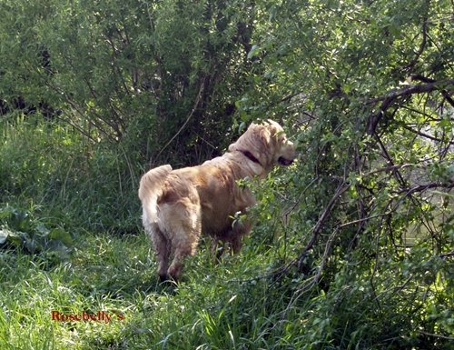 photo29.jpg