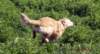 photo31_small.jpg