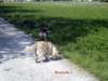 photo32_small.jpg