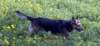 photo38_small.jpg