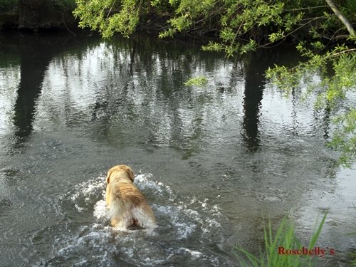 photo7.jpg