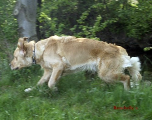photo73.jpg