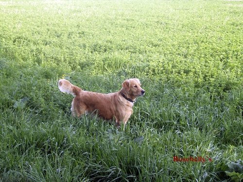 photo9.jpg