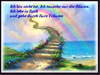Regenbogen Hund