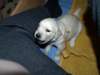 _a211881_small.jpg