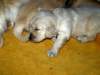 _a211882_small.jpg