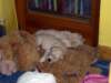 _k160002_small.jpg