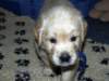 _k180011_small.jpg