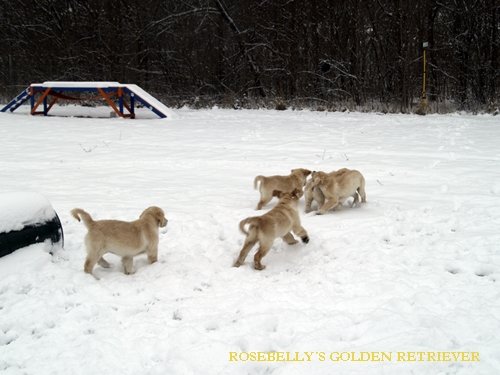 _k050130.jpg